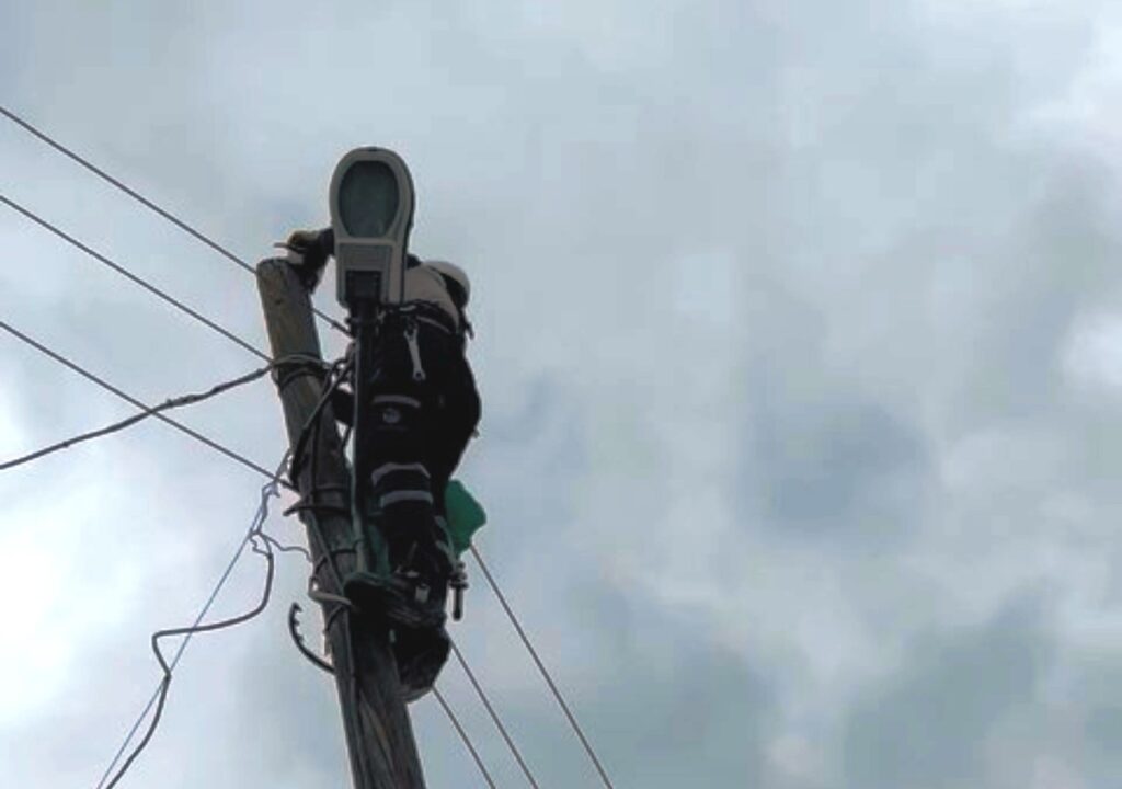 Gerger’de elektrik direğinde kedi kurtarma operasyonu