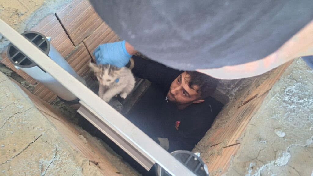 Kahta’da havalandırma boşluğuna düşen yavru kedi kurtarıldı