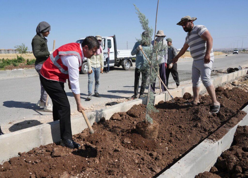 Başkan Tutdere, Mersin Caddesi ve Örenli Mahallesi’ndeki dönüşüm çalışmalarını yerinde inceledi