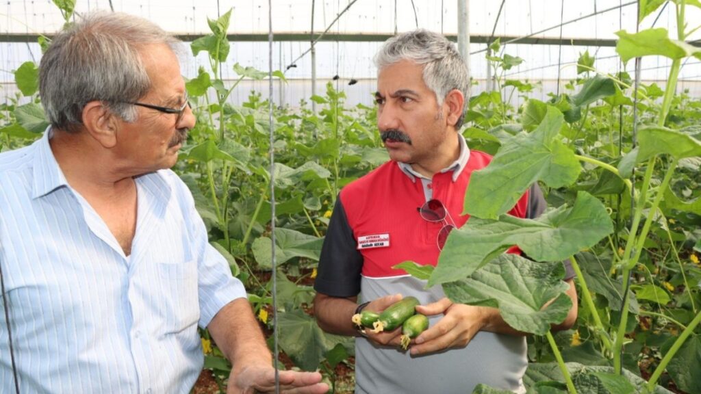 Adıyaman’da Sera-GES ile üretim devam ediyor