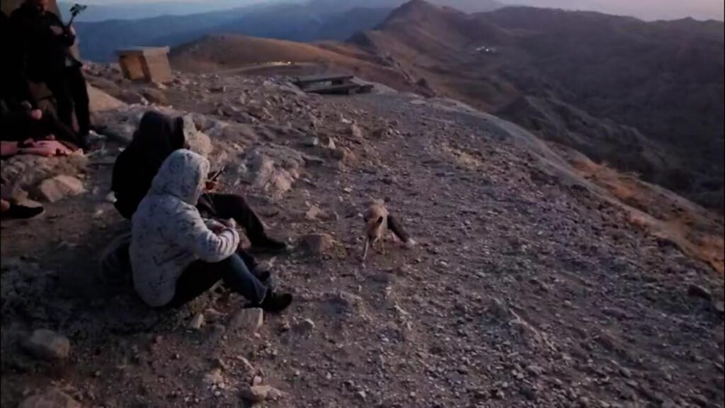 Nemrut Dağı’nın gözdesi ‘Tilki Hakan’, güneşin doğuşuna renk kattı