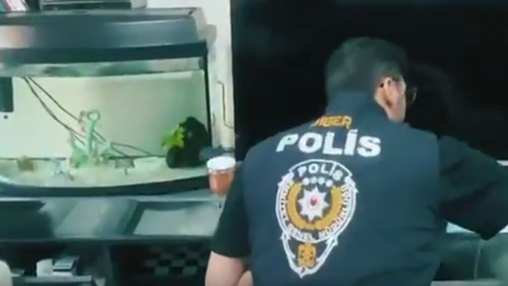 Siber suçlarla mücadele: 5 günde 55 kişi tutuklandı