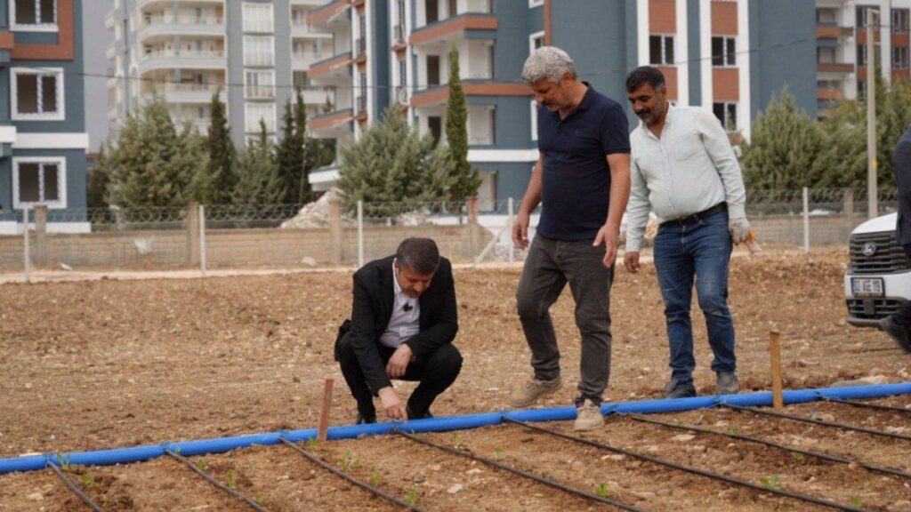 Adıyaman Belediyesi’nden ihtiyaç sahiplerine yönelik sebze üretimi