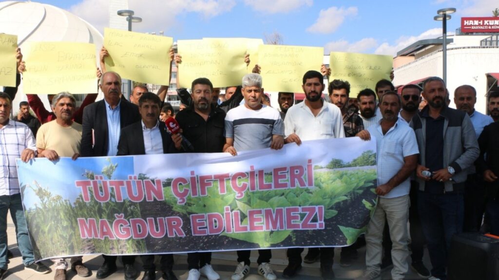 Adıyaman’da tütün üreticileri ‘sahipsiziz’ diyerek meydana indi