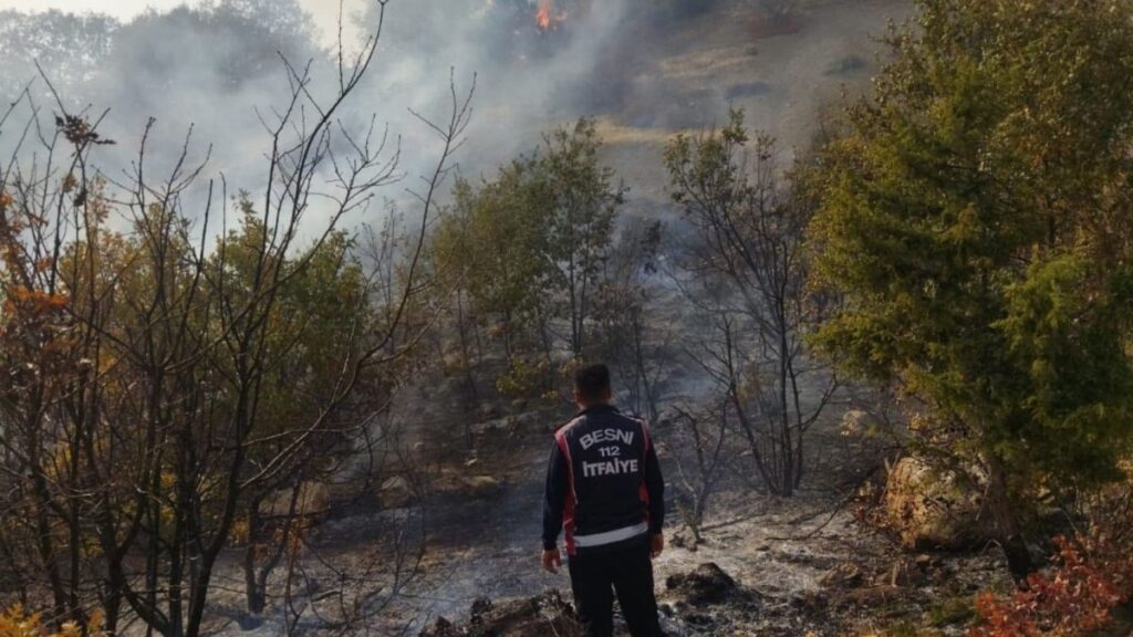 Besni Akpınar Köyü’nde çıkan orman yangını kontrol altına alındı
